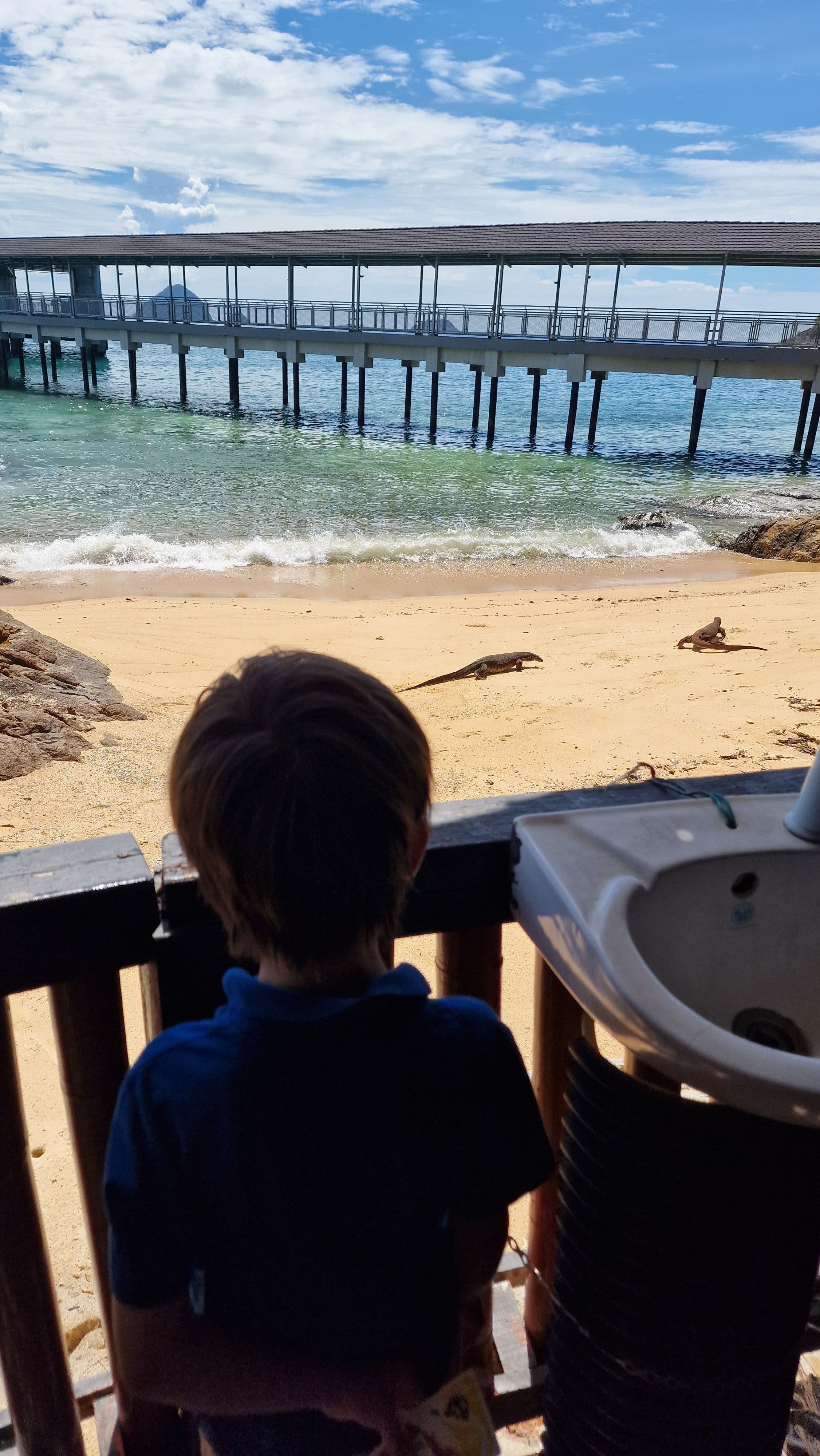 boy looking out at the beach with two monitor lizards