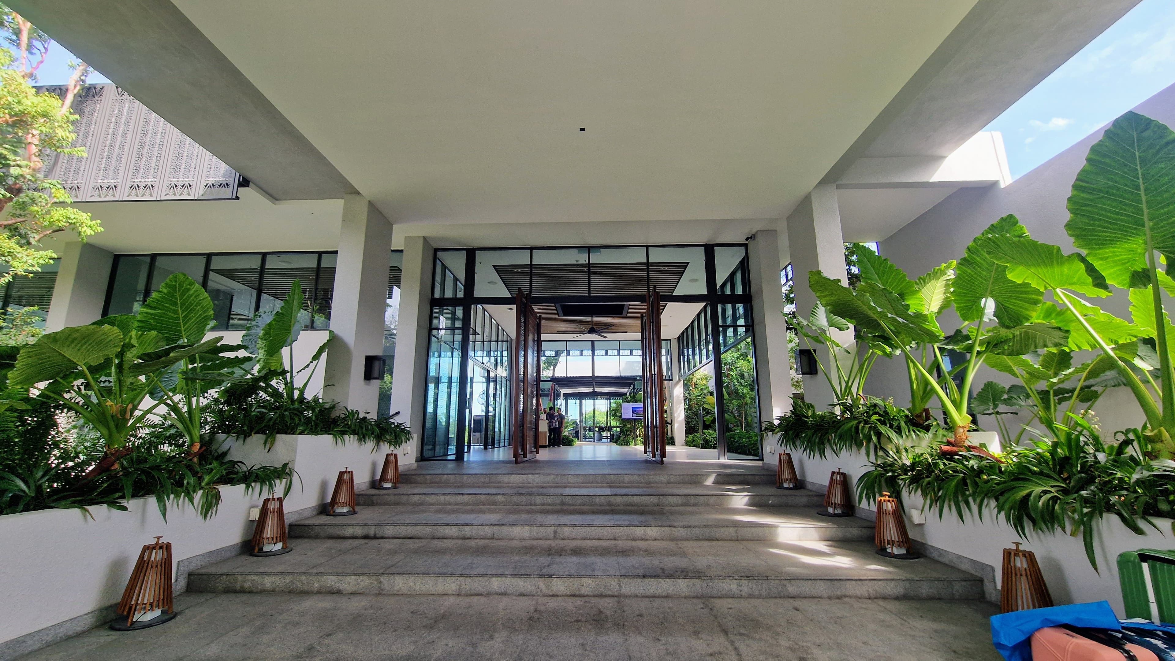 a stairway surrounded by plants into a lobby